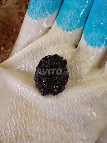 غغغغغغغغغغ - 2