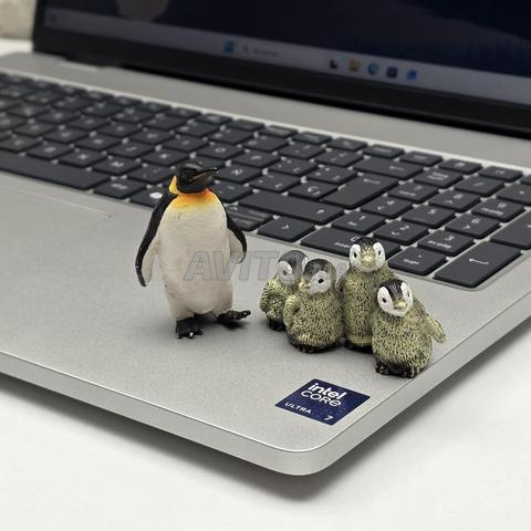 DELL PRO 16 / Ultra 7 265U / لمس - 2