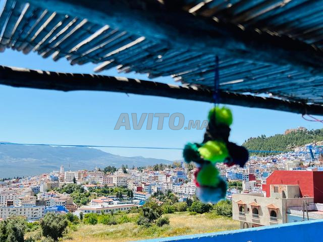 Duplex avec terrasse - 2