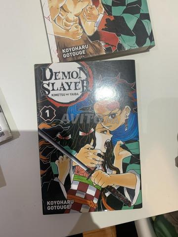 Mangas (MHA, Demon Slayer, JJK) - 2