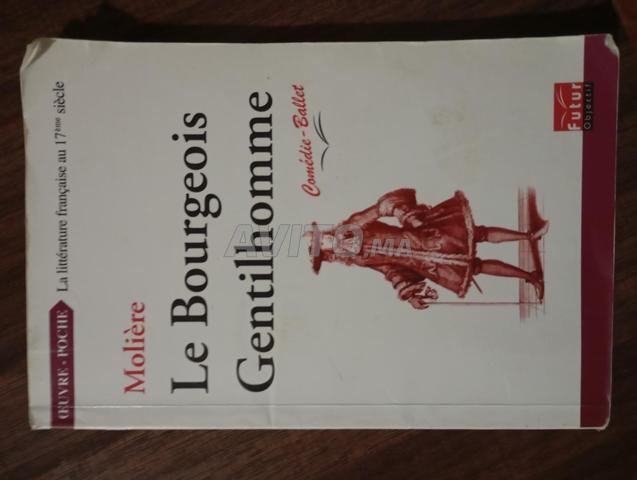 Livre et deux romans à prix raisonnable - 2