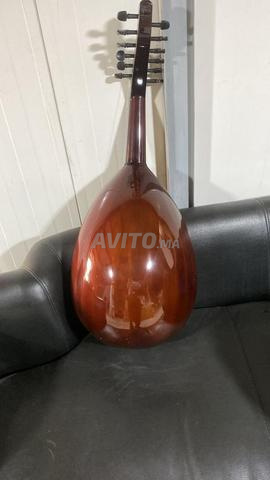 Oud professionnel égyptien - 2