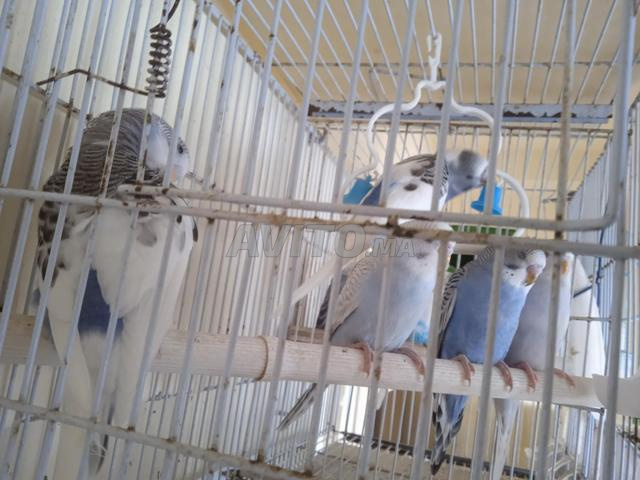 5 bureaux à vendre - 2