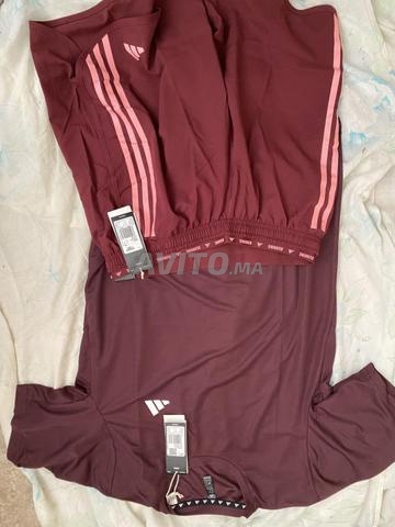 Tout est original France - 2