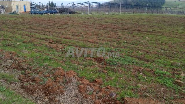 أرض فلاحية مسجلة في تيزي نغاشو - 2