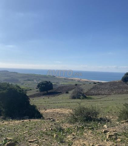 Terrain 1500m² à vendre à Sidi M'Gait - 2