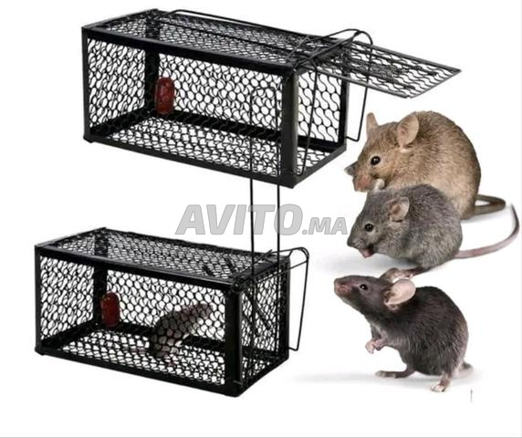 أفضل مصيدة فئران احترافية - 2