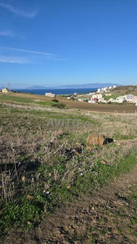 Très beau terrain à vendre - 2