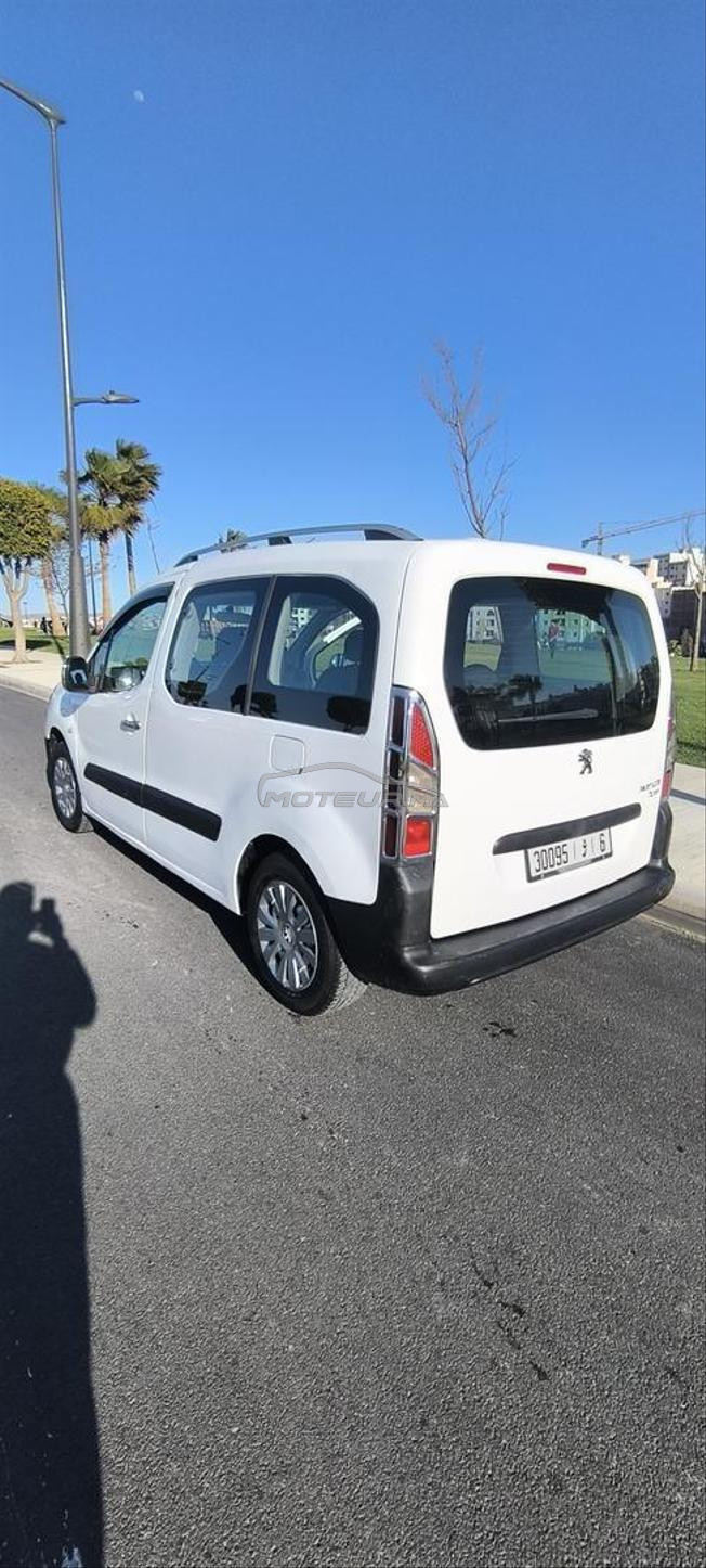 Peugeot tepee 