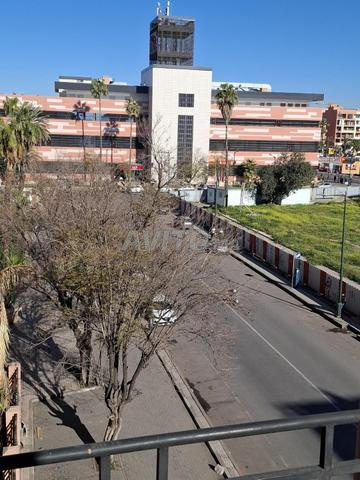 شقة في قلب جليز بجوار ماكدونالدز، زارا - 2