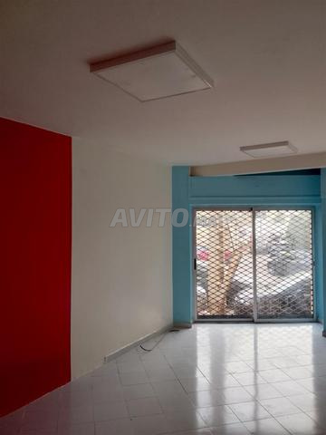 Magasin aménagé à palmier 32m2 - 2