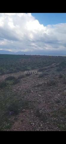 أرض 9 هكتارات - طريق أكفاي - 2