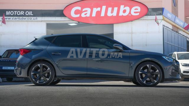 كوبرا ليون 2023 - مستوردة جديدة - 2