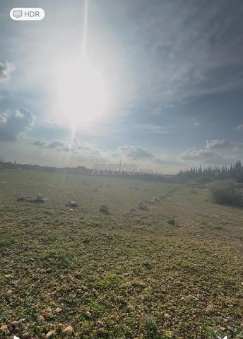 أرض للبيع - 2