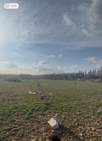 Terrain à vendre - 2