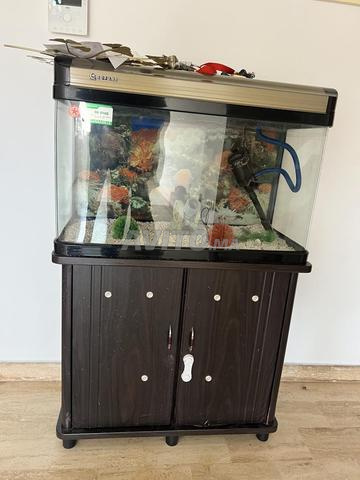 حوض سمك للمنزل - 2