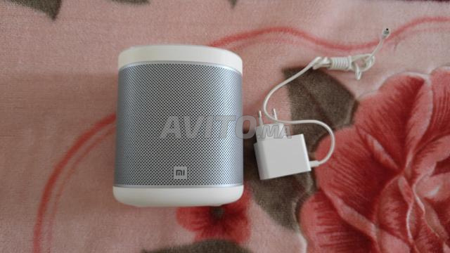 مكبر صوت شاومي الذكي