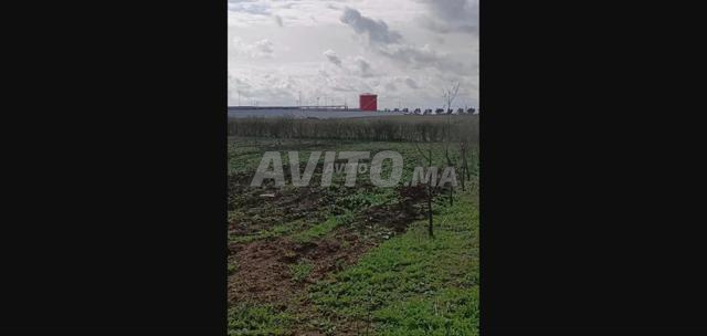 Terrain industriel 26000m² à louer – Mohammedia - 2