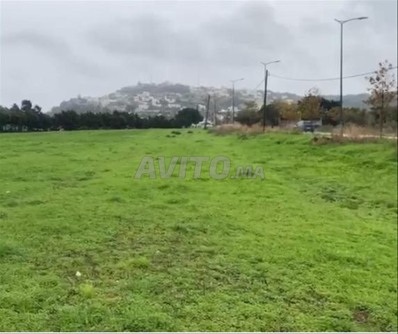 Terrain à vendre Tanger Quartier Achakar - 2