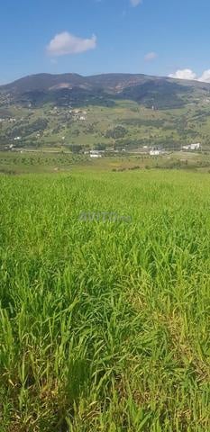 أرض للبيع إقليم تطوان - 2