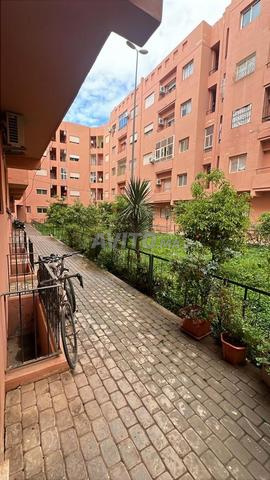 شقة متوسطة المستوى - 2