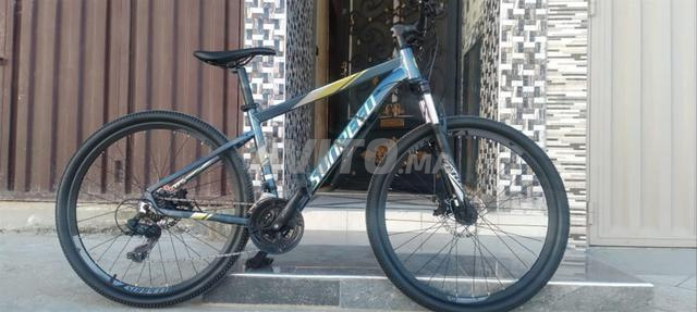 Vélo de type "Sabra" - 2