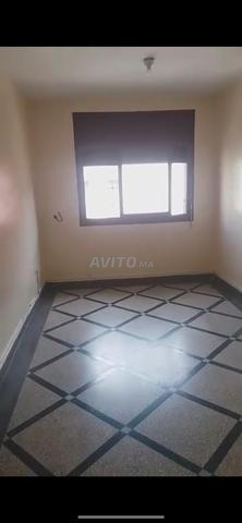 برطمة برنازيل 2400