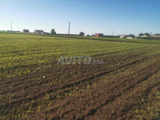 Terrain agricole titré - 2