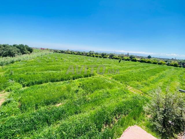 هكتار للبيع فيه دار وبئر - 2