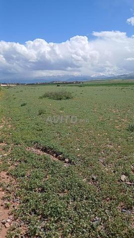 Terrain titre route d'Amizmiz - 2