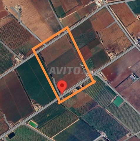 Terrain agricole à vendre à Bouchakour, Berkane