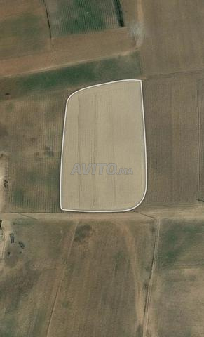 2500 m² titrée proche eau et électricité