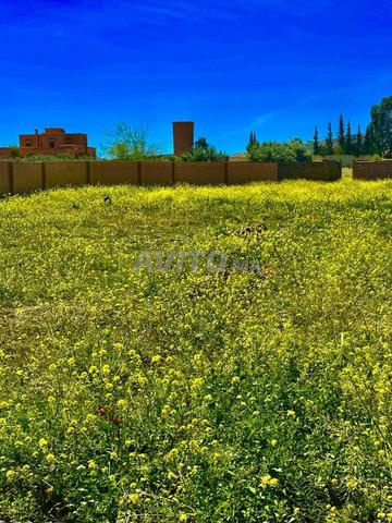 Terrain 1500m² à 8 km du grand stade - 2