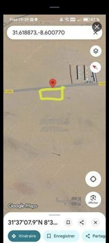 Terrain LMZOUDIA 1 Hectare - 2