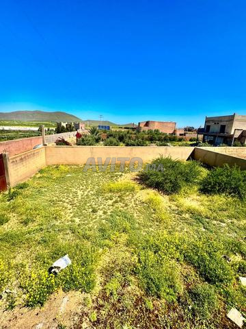Terrain pour villa 300m2 à Bourrous - 2