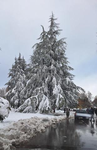 1 hectare titré banlieue d'Ifrane - 2