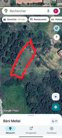 أرض للبيع بأولاد اضريد بني ملال - 2