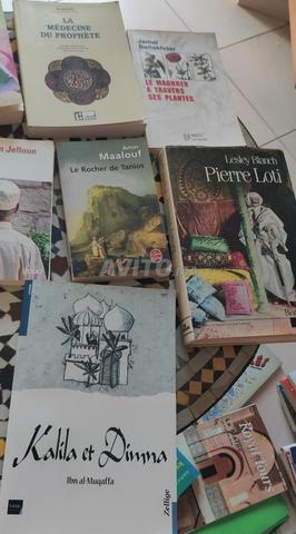 Plusieurs livres du monde arabe - 2