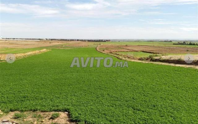 Terrains enregistrés à Bir Jdid à vendre pour l'agriculture et l'investissement