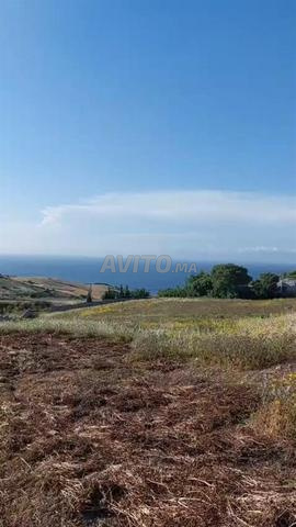 أرض بطنجة - 2