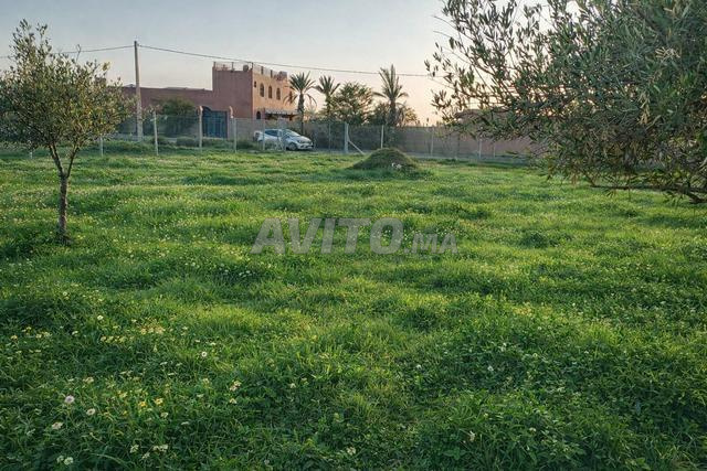 أرض مسجلة بمساحة 2763 متر مربع على طريق معبد