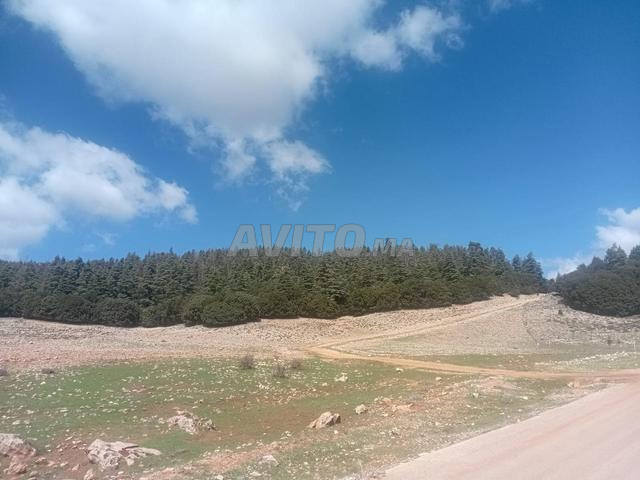 أرض فلاحية - 2