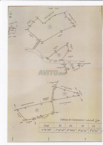 مجموعة 5 قطع أراضي فلاحية مرسمة بطنجة - 2