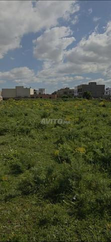 أرض فيلا بالقرب من طريق النخيل - 2