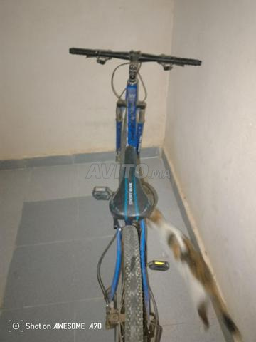 Vélo prix 500 dh négociable - 2