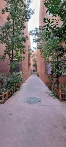 Appartements vides à louer Basatin Targa - 2