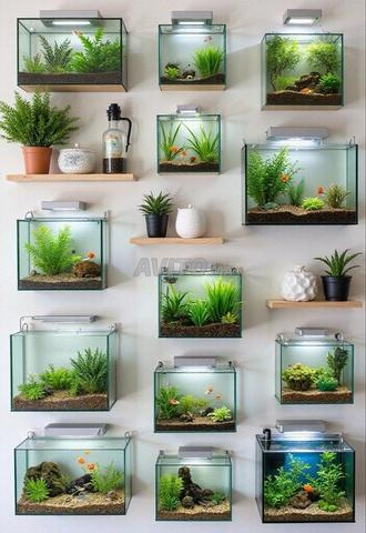 Mur de nature, collection d'aquariums et de plantes aquatiques modernes