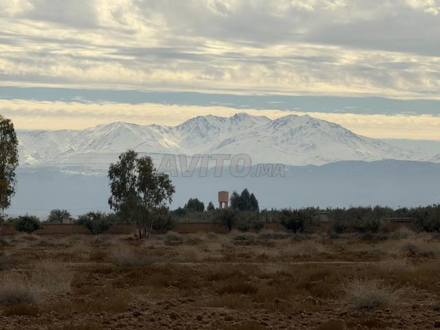 أرض للبيع 5.4 هكتار - 2