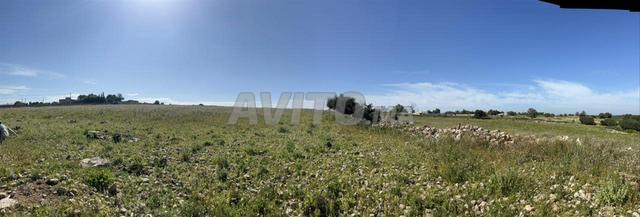 أرض للبيع 2600 م² نواحي الصويرة - 2