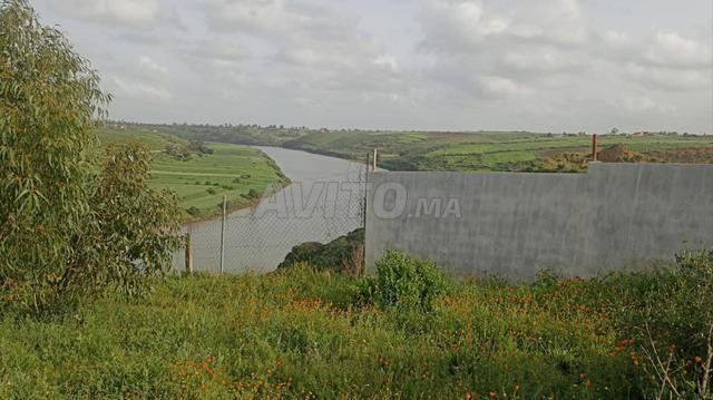 Terrain à vendre - 2